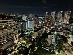 Stirling Residences (D3), Apartment #392176501